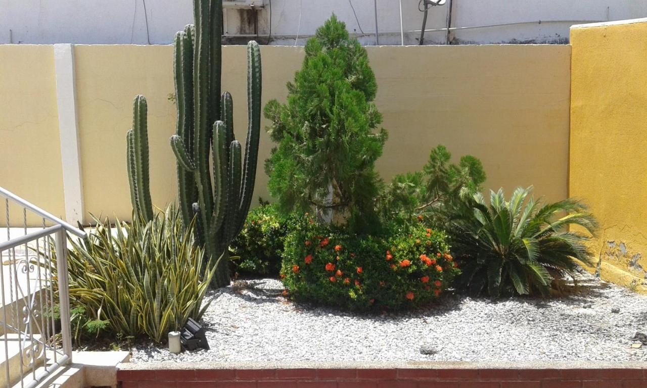Hotel Palma Blanca Del Mar Puerto de Gaira 外观 照片